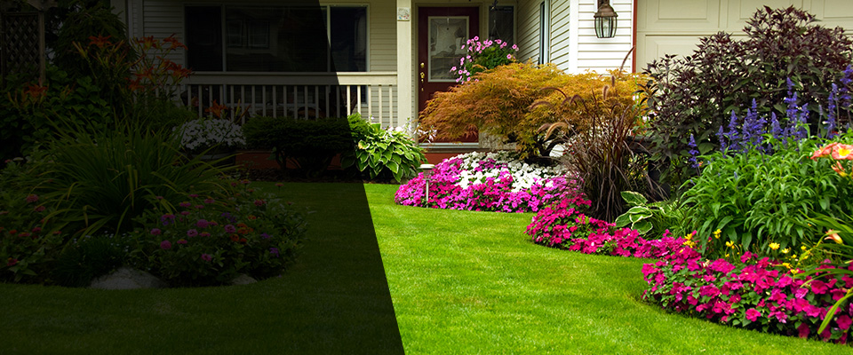 Golden Landscapers