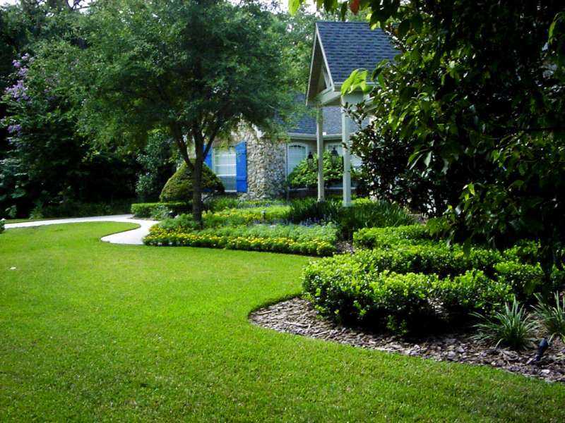 Tree Removal Or Pruning